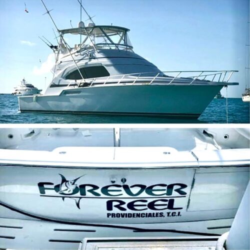 Our Boat 15 Private deep sea fishing